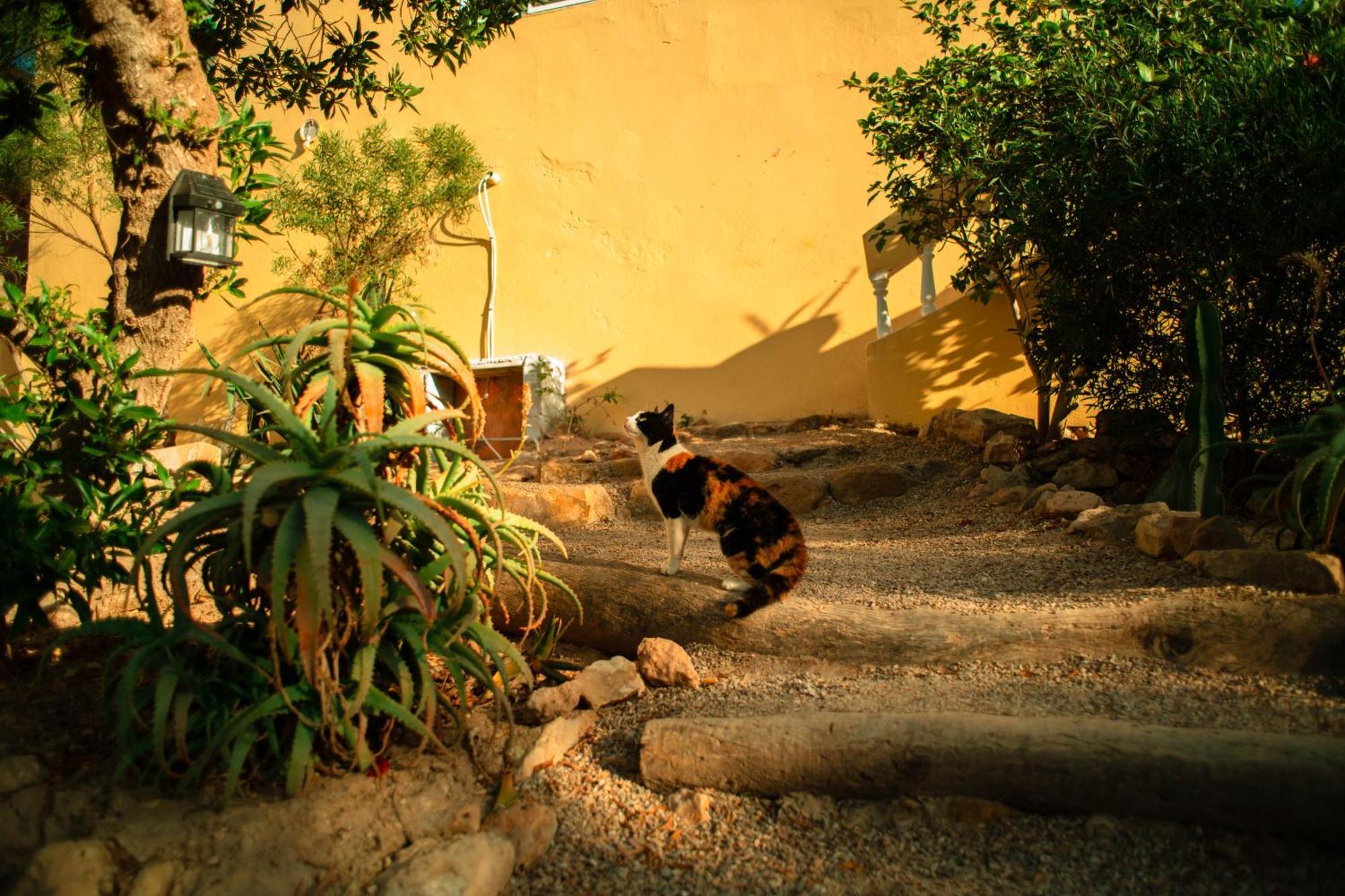 Easy Going Imsouane Bed & Breakfast ภายนอก รูปภาพ
